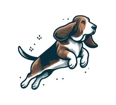 basset hound dog hand drawn vector illustration clipart