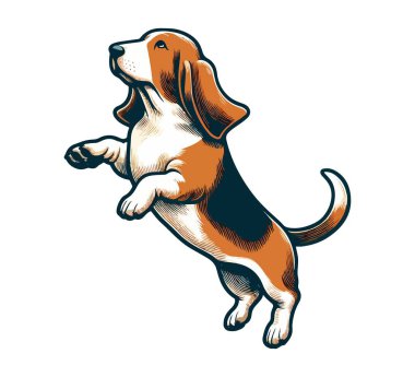 Basset av köpeği el çizimi vektör çizimi