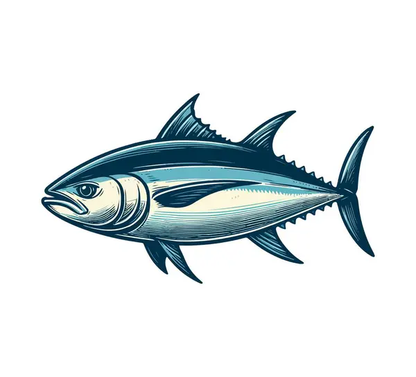 stock vector bluefin tuna hand drawn vector illustration