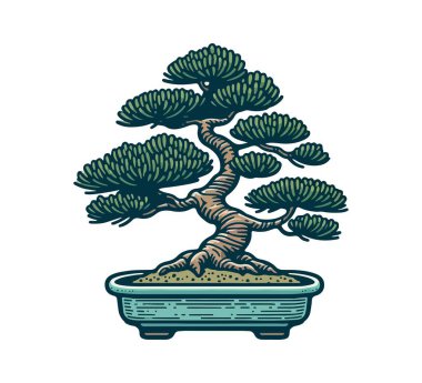 Bonsai Çam El çizim vektörü