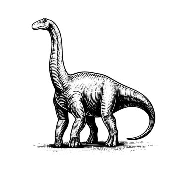 Brachiosaurus el çizimi çizim vektörü grafiği