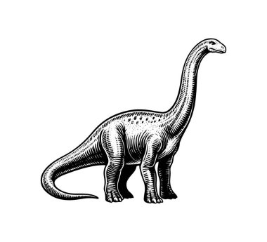 Brachiosaurus el çizimi çizim vektörü grafiği