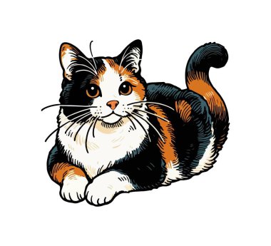 calico cat hand drawn vector vintage illustration clipart