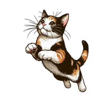 calico cat hand drawn vector vintage illustration clipart