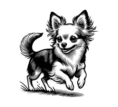 Chihuahua köpek eli vintage vektör çizdi 