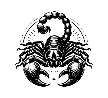 emperor scorpion hand drawn vector illustration clipart