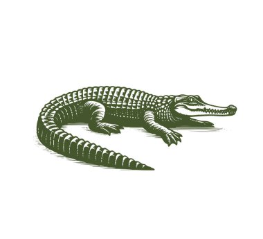 Gharial krokodil el çizimi vektör vintage illüstrasyon