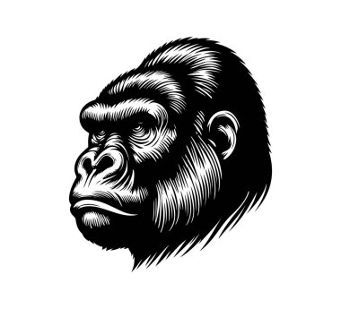 Gorilla Head Hand drawn Vector Illustration clipart