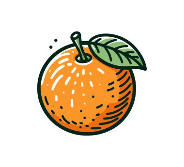 Mandarin Orange Hand drawn vector fruit graphic asset clipart