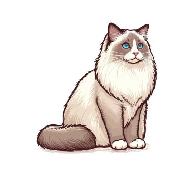 ragdoll cat hand drawn vector vintage clipart