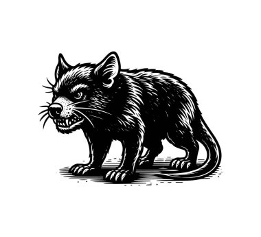 Tasmanian devil hand drawn vector clipart