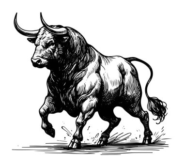 Spanish Fighting Bull vector hand drawn illustration clipart