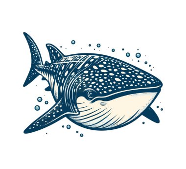 Whale Shark hand drawn vector illustration clipart