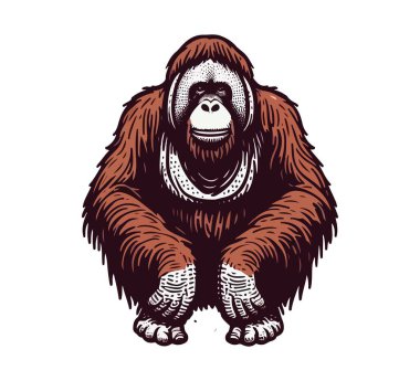 Orangutan hand drawn vector illustration clipart