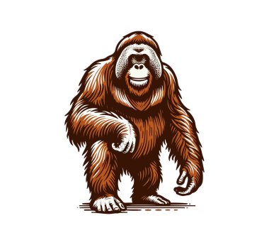 Orangutan hand drawn vector illustration clipart