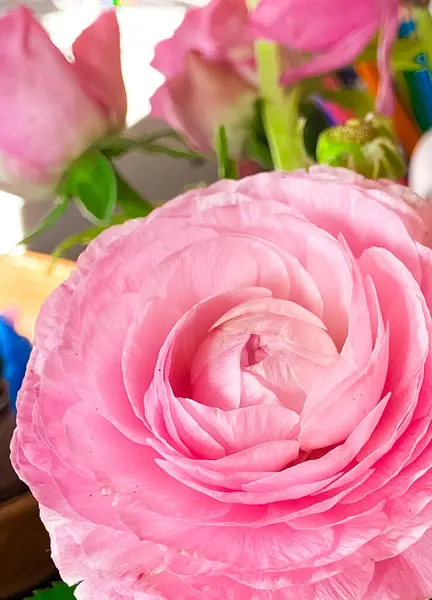 テーブル上の花瓶の花ランクルスの写真 — ストック写真