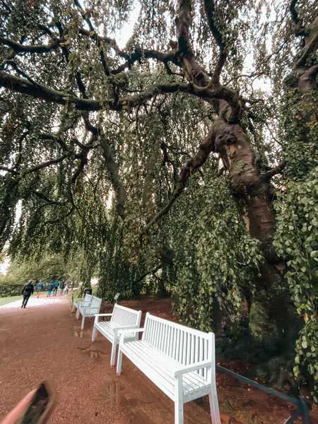 Schwerin Kalesi 'nin manzara ve mimarisinin fotoğrafı, Kuzey Almanya, Mecklenburg-Vorpommern
