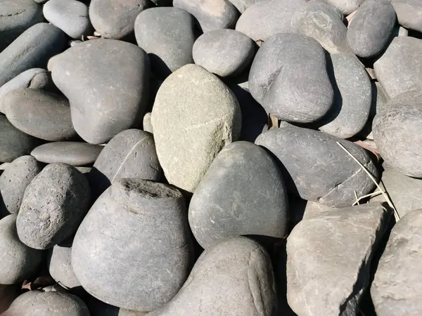 Düz nehir taşları, arka plan, manzara veya Zen bahçe tasarımı için mükemmel, büyük çakıl taşları.