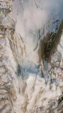 Mini bir dereye düşen su, pirinç tarlası, doğal bir kavram.