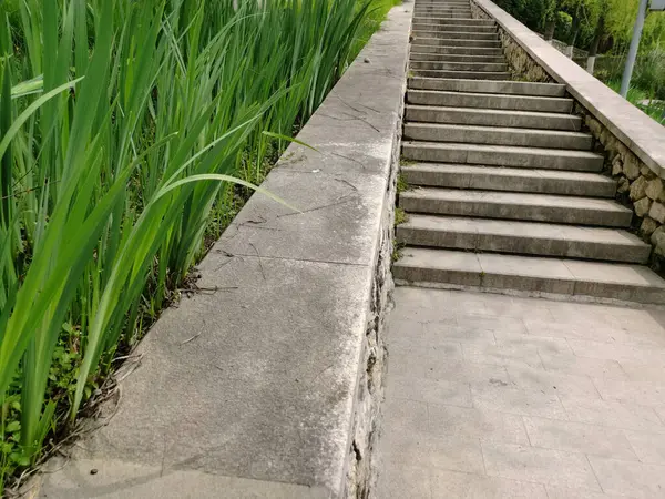 Yeşil çimenli taş merdiven. Yürümek için yalnız basamaklar. Parkta gri basamaklar ve çimenler.