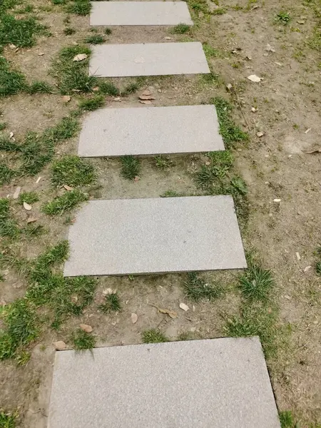Toprakta ender bulunan yeşil çimenli dikey taş yolu. Taş - Toprakta asfalt yol.