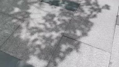 Güneş ışığıyla seramik başlıkların üzerine düşen sallanan yaprakların gölgesi, soyut doğal, geniş açılı kavram. Döşeme Döşemeleri üzerine basılmış Ağaç Gölgeleri