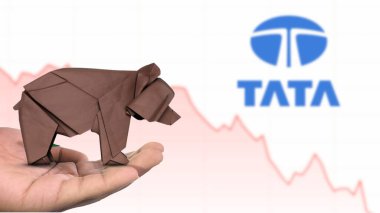 New York - ABD, 13 Ocak 2025: TATA hisse senedi düşüşü kahverengi origami ayısı üzerine seçici odaklanma, TATA 'nın hamursuz pazar duyarlılığını tasvir ediyor. Finansal çöküş kavramını yakalıyor