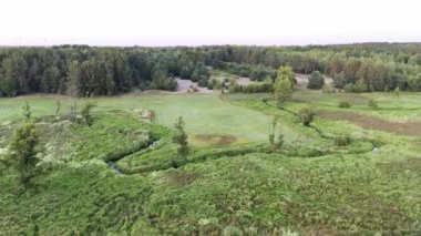 Gün batımındaki altın saat sırasında yoğun ormanlarla çevrili manzaralı yeşil bir çayırı gösteren bir hava videosu. Bereketli manzarada sarmal akarsular ve çeşitli bitki örtüleri var. Huzurlu ve resimli bir doğa manzarası sunuyor.. 