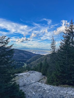Bereketli bir orman boyunca uzanan manzaralı bir yürüyüş yolu uzak dağların çarpıcı manzarasını sunuyor. Açık mavi gökyüzü ve kabarık bulutlar bu huzurlu dağ manzarasının güzelliğini artırıyor. Doğa, seyahat ve açık hava fotoğrafçılığı için ideal..