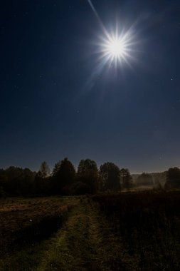 Parlak dolunay sisli bir çayırın ve ormanın üzerinde parlıyor ve gökyüzünde yıldızların göründüğü çarpıcı bir gece manzarası yaratıyor. Huzurlu kırsal alan doğa ve gece fotoğrafçılığı için mükemmeldir..