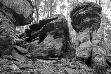 Polonya 'nın Nieka kentinde, yoğun bir sonbahar ormanıyla çevrili şaşırtıcı kum taşı oluşumları. Yüzyıllar boyunca oluşmuş kayaların benzersiz şekilleri canlı düşen yapraklarla güzel bir tezat oluşturarak büyüleyici bir doğal manzara yaratıyor.. 
