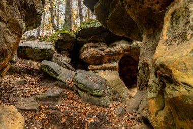 Polonya 'nın Nieka kentinde, yoğun bir sonbahar ormanıyla çevrili şaşırtıcı kum taşı oluşumları. Yüzyıllar boyunca oluşmuş kayaların benzersiz şekilleri canlı düşen yapraklarla güzel bir tezat oluşturarak büyüleyici bir doğal manzara yaratıyor.. 