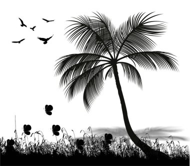 Hindistan cevizi esintisinde kuşlar ve kelebekler