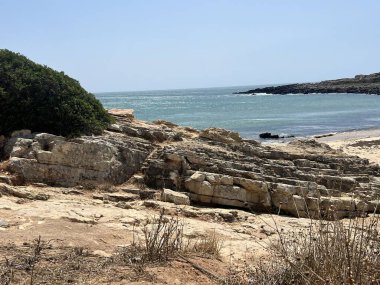 Algarve 'deki vahşi Ingrina plajının güzelliğini ve doğal zenginliğini keşfediyor.