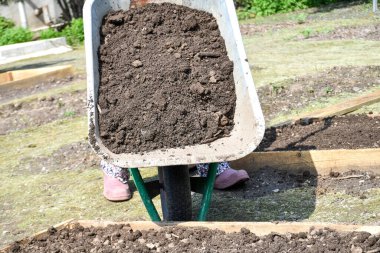 Bahçe yatakları verimli toprak ve gübrelerle doldurulmak için çitlerle çevrili, sebze ve yaprak tohumu ekmek için..