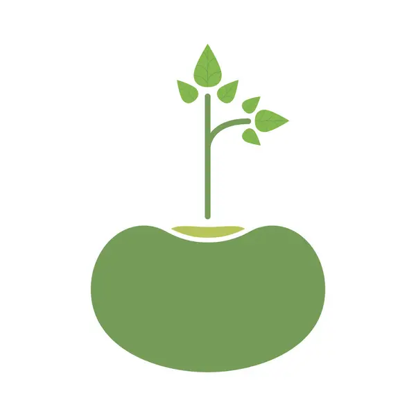 Mung Fasulye Logo Vektörü Simge Şablonu İllüstrasyonu