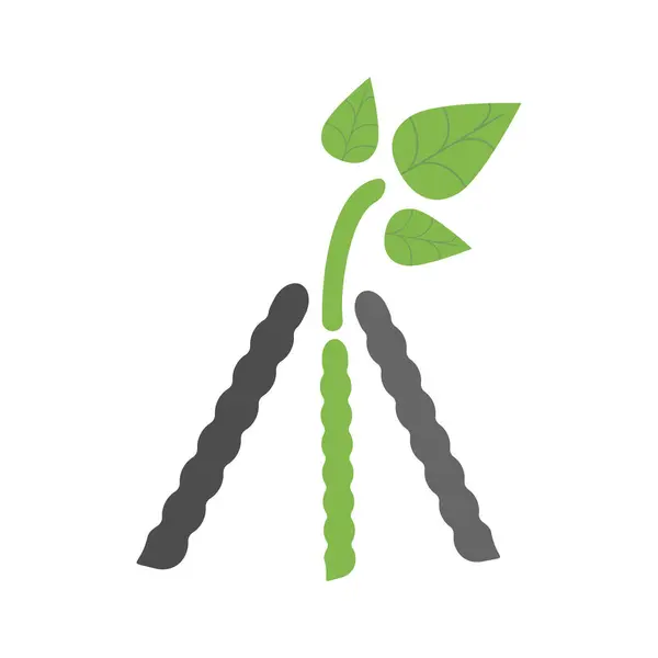 Mung Fasulye Logo Vektörü Simge Şablonu İllüstrasyonu