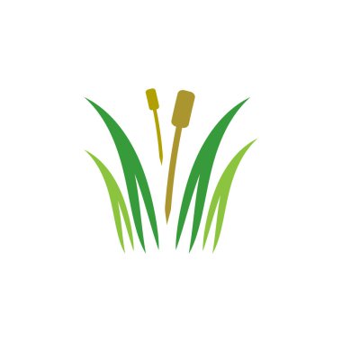 Çimen Logosu Vektör Simgesi Şablonu İllüstrasyonu