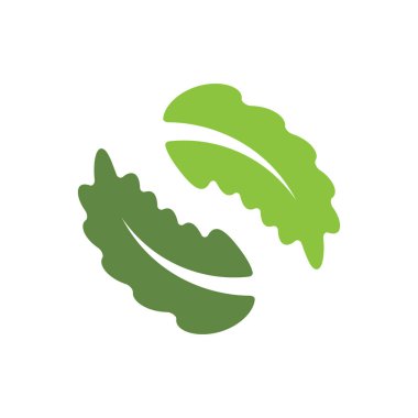 Meşe Yaprağı Logo Vektörü Simge Şablonu İllüstrasyonu