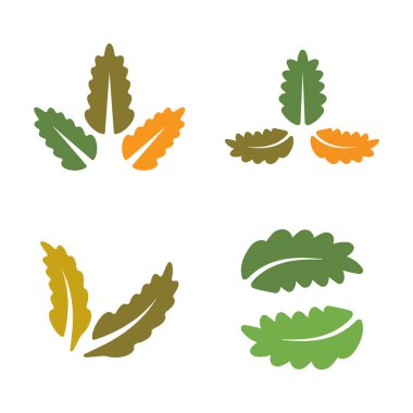 Meşe Yaprağı Logo Vektörü Simge Şablonu İllüstrasyonu