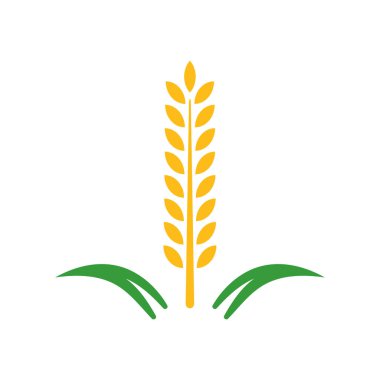 Paddy Logo Vektör Simgesi Şablonu İllüstrasyonu