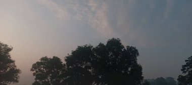 Endonezya 'daki Sabah Gökyüzü ve Ağaçlarının Arkaplanı