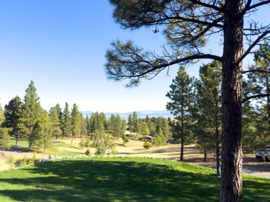 Bir sonbahar sabahı Helena Montana 'ya bakıyorum.