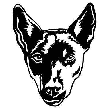 Australian kelpie dog black contour portrait. Dog head front view vector illustration isolated on white background. For decor, design, print, poster, postcard, sticker, t-shirt, cricut and embroidery clipart