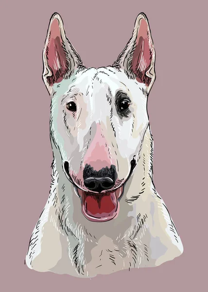 Bull Terrier Χέρι Σχέδιο Σκυλί Διάνυσμα Απομονωμένη Εικόνα Μωβ Φόντο — Διανυσματικό Αρχείο