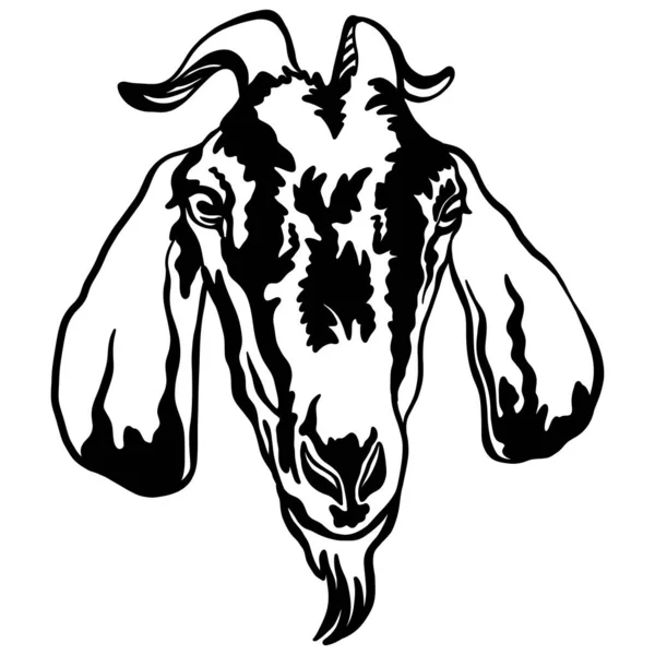 Goat Black Contour Portrait Goat Head Front View Vector Illustration — Stock Vector