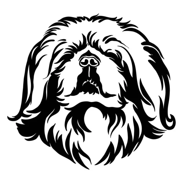 Pekingese Pies Czarny Kontur Portret Głowa Psa Widoku Przodu Wektor — Wektor stockowy