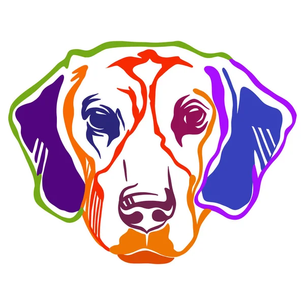 Retrato Contorno Cor Cão Beagle Cabeça Cão Vista Frontal Ilustração —  Vetores de Stock