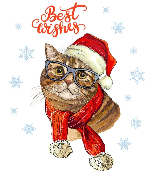 Weihnachtskarte Mit Lustigem Britischem Katzenporträt Weihnachtsmütze Brille Schal Schneeflocken Und — Stockvektor