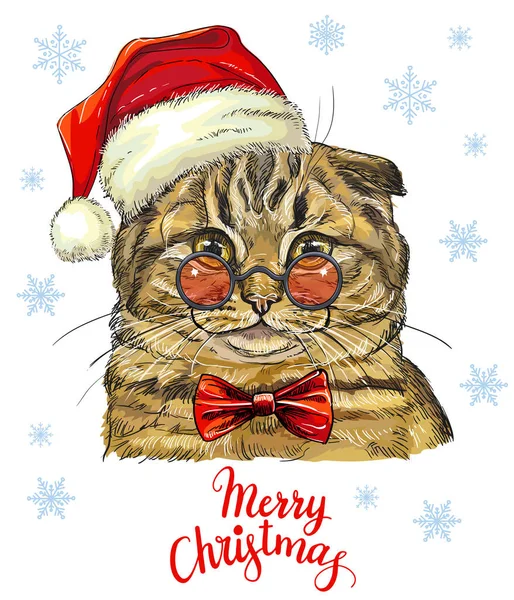 Weihnachtskarte Mit Lustigem Scottish Fold Katzenporträt Weihnachtsmütze Brille Schleife Schneeflocken — Stockvektor